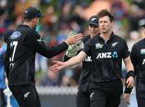 团队协作和 团队协作和